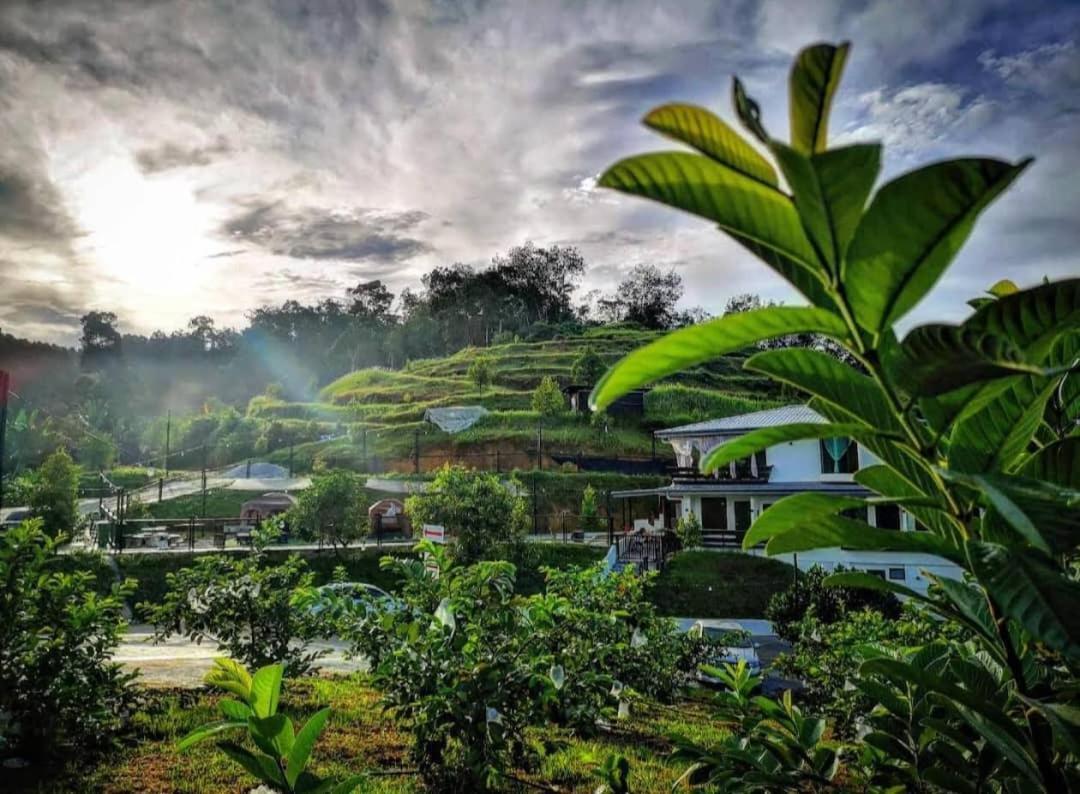 I Do Farmstay Bukit Mertajam Exterior foto